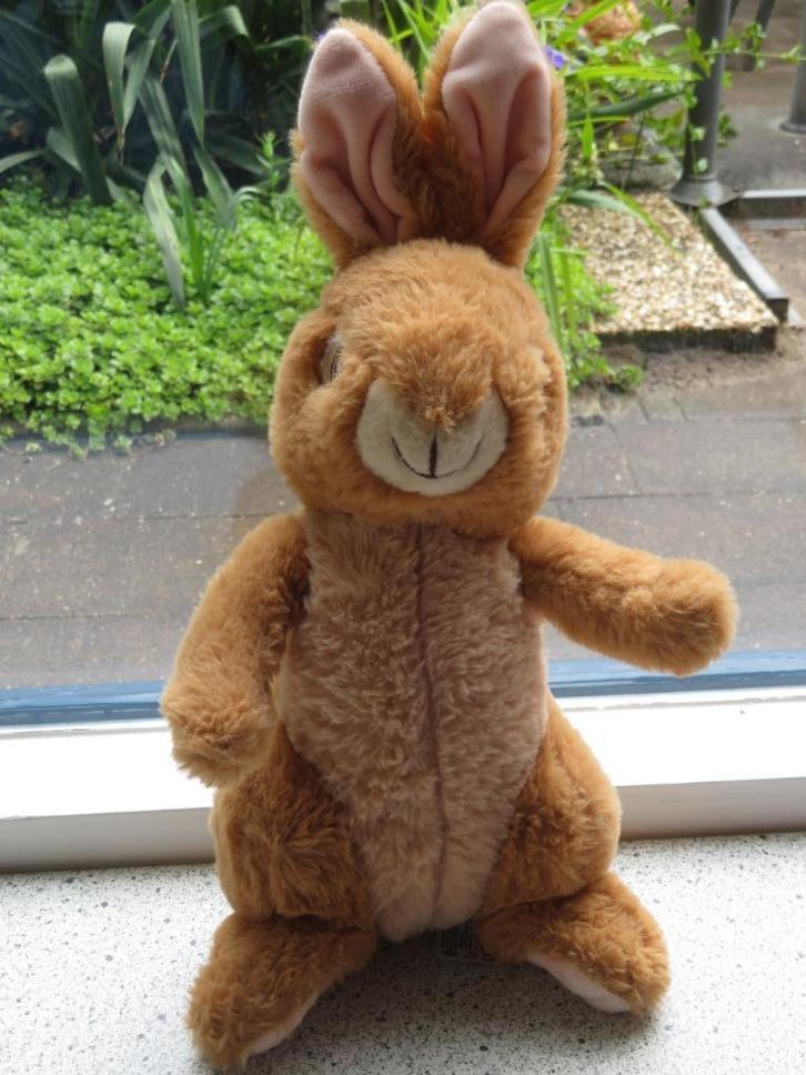 Konijn Peter Pieter Rabbit uit 2020 meet ca 36 cm, Kinderen en Baby's, Speelgoed | Knuffels en Pluche, Zo goed als nieuw, Konijn