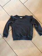 Donkergrijze sweater maat 110 met roesjes, Ophalen of Verzenden, Zo goed als nieuw, Meisje