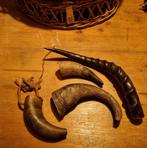 Landelijke decoratie hoorns Bohemian boho ibiza style, Huis en Inrichting, Ophalen of Verzenden, Gebruikt