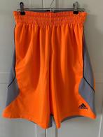 Adidas Basketball short / broek, Sport en Fitness, Ophalen of Verzenden, Zo goed als nieuw, Kleding
