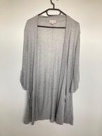 Artu Napoli dungebreid vest grijs maat 38 lang, Kleding | Dames, Truien en Vesten, Maat 38/40 (M), Artu Napoli, Ophalen of Verzenden