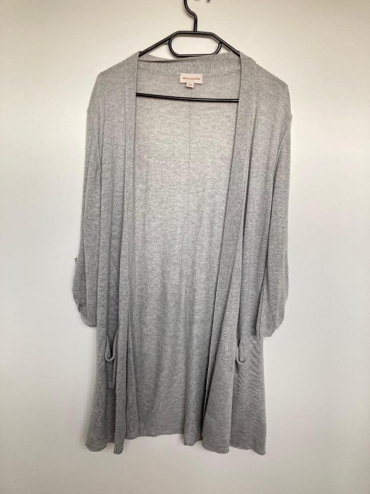 Artu Napoli dungebreid vest grijs maat 38 lang, Kleding | Dames, Truien en Vesten, Zo goed als nieuw, Maat 38/40 (M), Grijs, Ophalen of Verzenden