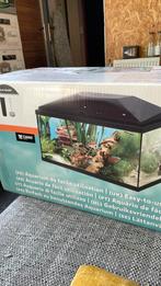 Ciano Aquarium 60, Dieren en Toebehoren, Vissen | Aquaria en Toebehoren, Ophalen, Leeg aquarium