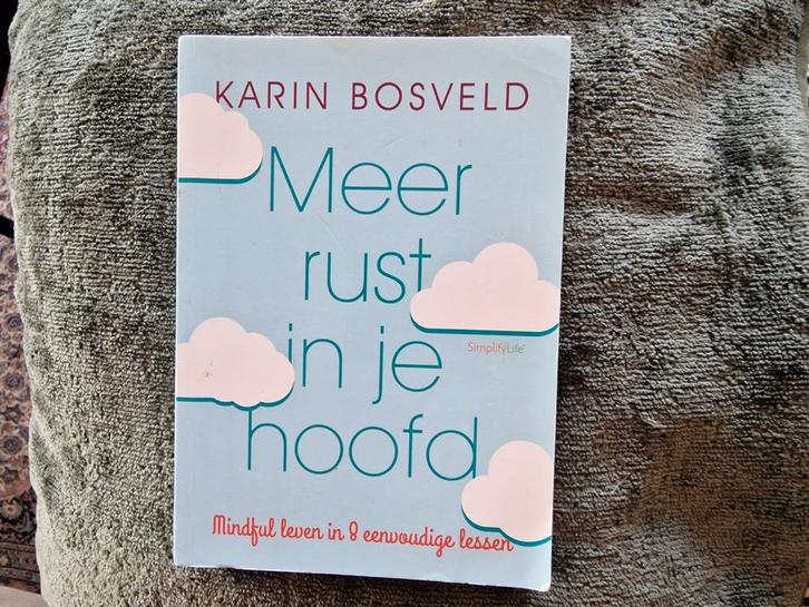 Karin Bosveld - Meer rust in je hoofd, Boeken, Psychologie, Zo goed als nieuw, Ophalen of Verzenden