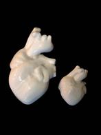 Vintage anatomisch hart beeldjes, Antiek en Kunst, Curiosa en Brocante, Ophalen of Verzenden