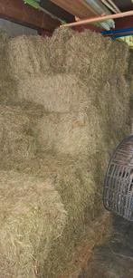 Hooi pakjes, Dieren en Toebehoren, Ophalen, Vee