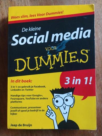 Social Media voor Dummies - Editie 3 in 1 beschikbaar voor biedingen