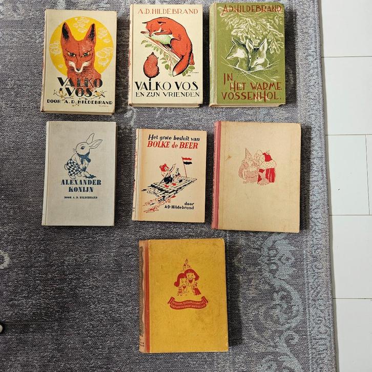 A.D. Hildebrand Kinderboeken Collectie, Boeken, Kinderboeken | Jeugd | onder 10 jaar, Zo goed als nieuw, Fictie algemeen, Ophalen of Verzenden