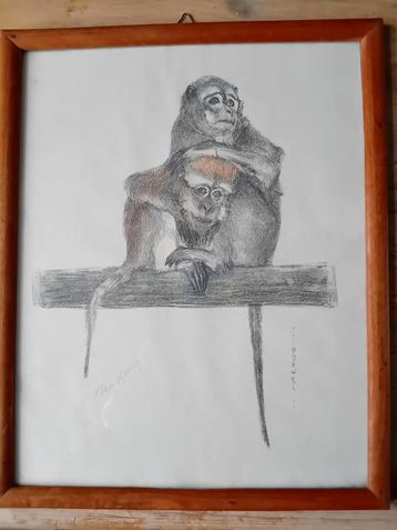 Theo Dijkwel - Litho Aapjes, Gesigneerd beschikbaar voor biedingen