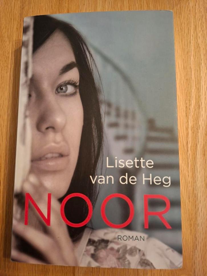 Noor, door Lisette van de Heg, Boeken, Literatuur, Zo goed als nieuw, Ophalen of Verzenden