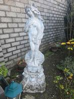 Venus beeld, opknapper of decoratie, Tuin en Terras, Tuinbeelden, Ophalen, Gebruikt, Beton, Mensenbeeld