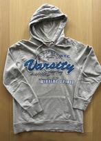 Hoodie / trui  van Europe Kids, zgan (Y612), Europe Kids, Trui of Vest, Ophalen of Verzenden, Zo goed als nieuw