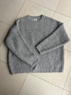 Gave trui Anine Bing nieuw, Maat 38/40 (M), Verzenden, Nieuw, Grijs