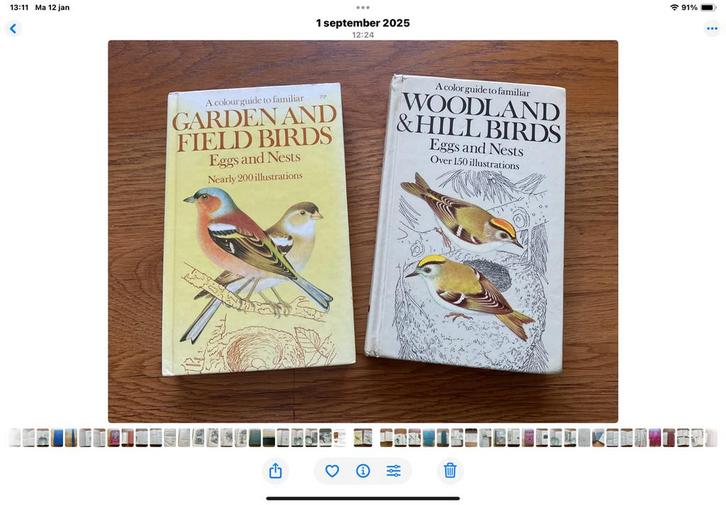 Woodland& Hill birds & Garden & Field birds and their eggs, Boeken, Natuur, Zo goed als nieuw, Ophalen of Verzenden