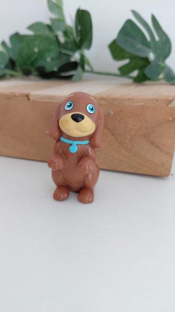 Bruin hondje  beschikbaar voor biedingen