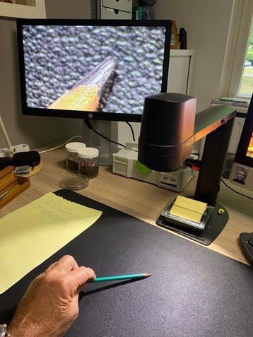 digitale microscoop TAGARNO FHD ZIP  1-150X beschikbaar voor biedingen