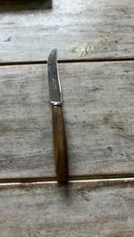 Gero roestvrij klein mesje, Ophalen of Verzenden, Rvs of Chroom