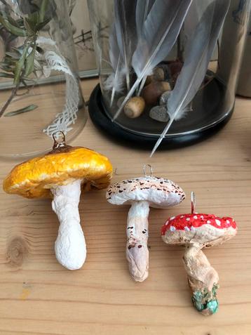 Watten paddestoelen (3) beschikbaar voor biedingen