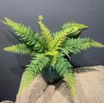 Kunst Boston Varen Plant / Grote Nepplant met Sierbladeren, Verzenden, Nieuw