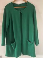 GOLLÉHAUG WOLBLEND GROEN VEST 44 (40-42), Kleding | Dames, Maat 42/44 (L), Ophalen of Verzenden, Golléhaug, Gedragen