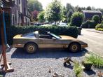 Uniek Gouden Chevrolet Corvette object, Ophalen