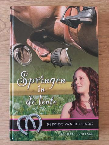 Springen in de lente, Pony's van De Pegasus-11, J. Molema  beschikbaar voor biedingen