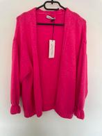 Leuk roze vest, Kleding | Dames, Truien en Vesten, Ophalen of Verzenden, Nieuw, Maat 38/40 (M), Roze