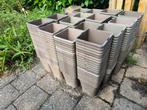 Kweekbakjes vierkant, Ophalen, Minder dan 30 cm, Minder dan 60 cm, Vierkant