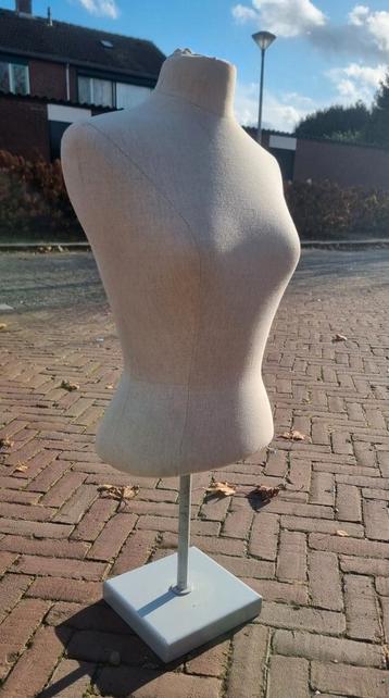 3 Dames Torso's te koop beschikbaar voor biedingen