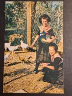 Staphorst - Kippen voeren - Klederdracht, Ophalen of Verzenden, Gelopen, Overijssel