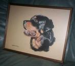 1 ingelijste rottweiler pollyanna pickering, Ophalen, Gebruikt, Hond of Kat, Beeldje of Figuurtje