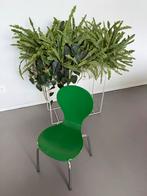 Groene vlinderstoel - Fritz Hansen stijl, Ophalen, Gebruikt, Overige kleuren, Eén