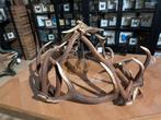 3 Kroonluchter gemaakt van Edelhert Geweien jacht landelijk, Ophalen of Verzenden, Nieuw, Overige materialen, Landelijk jacht rustic outdoor