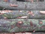 Boomstammen met diameter 3-40cm gratis bezorgd, Tuin en Terras, Haardhout, Stammen, 3 tot 6 m³, Ophalen, Overige houtsoorten