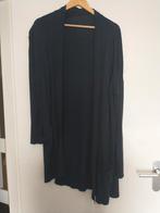 Donkerblauw vest Hema maat L, Kleding | Dames, Truien en Vesten, Blauw, Maat 42/44 (L), Ophalen of Verzenden, Zo goed als nieuw