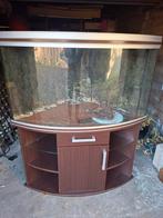 Aqualantis hoekaquarium met meubel., Dieren en Toebehoren, Ophalen of Verzenden, Leeg aquarium