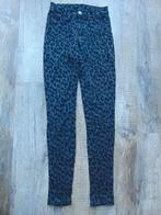 Coolcat lange broek grijs panterprint maat XS, Ophalen of Verzenden, Zo goed als nieuw, Coolcat, Maat 34 (XS) of kleiner