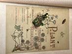 De Plant in hare Ornamentale Behandeling - Prenten, Antiek en Kunst, Ophalen, Natuur en Biologie