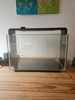 Aquarium SuperFish Home 60 te koop, Ophalen, Zo goed als nieuw, Leeg aquarium