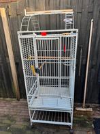 Vogel /papegaaien kooi, Ophalen, Metaal, Vogelkooi