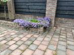 Tuinstenen  14.5 x14.5, Tuin en Terras, Ophalen, Zo goed als nieuw, Beton, Klinkers