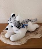 Knuffel Husky., Ophalen of Verzenden, Nieuw, Overige typen
