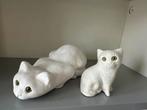 2 witte katten beelden, Verzamelen, Ophalen of Verzenden, Gebruikt, Dier