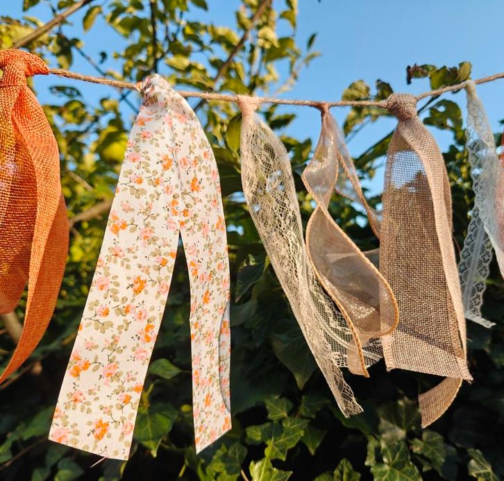 Vrolijke lintjesslinger - Tuinslinger  Tasselslinger te huur, Hobby en Vrije tijd, Feestartikelen | Verhuur, Zo goed als nieuw