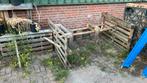 De laatste kapotte pallets brandhout gratis/ophalen Bladel, Ophalen, Zo goed als nieuw, Materiaal