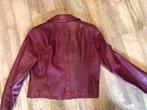 Claudia Strater rood leren jasje., Kleding | Dames, Ophalen, Zo goed als nieuw, Maat 38/40 (M), Rood