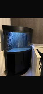 Aquarium/terrarium te koop, Ophalen, Gebruikt, Leeg aquarium