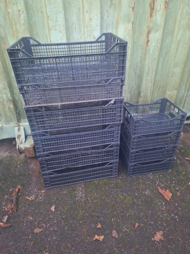 Partij Plastic Kratten - 30 Klein, 5 Groot, Ophalen