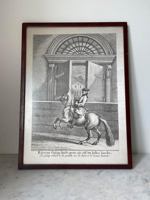 Oude hippische prent van een ruiter te paard | Ridinger, Antiek en Kunst, Kunst | Tekeningen en Foto's, Ophalen of Verzenden