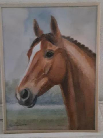 Harry van Zomeren aquarel paardenhoofd 'Annika ' beschikbaar voor biedingen
